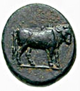 Coin photo