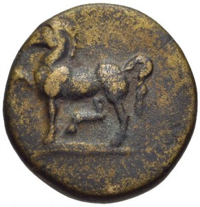 Coin photo