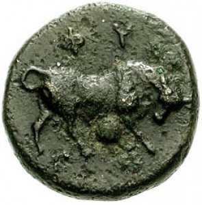 Coin photo