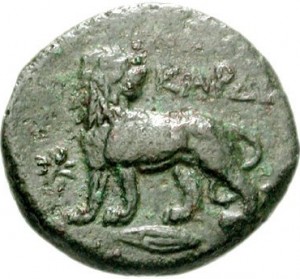 Coin photo
