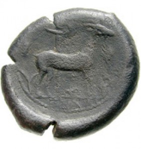 Coin photo