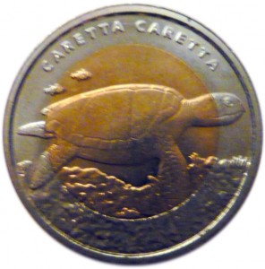 Coin photo