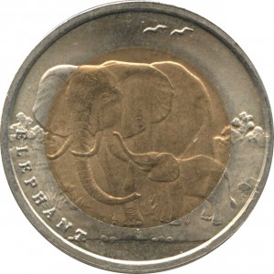 Coin photo