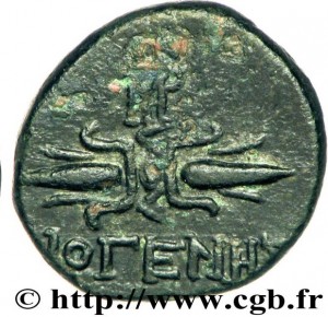 Coin photo