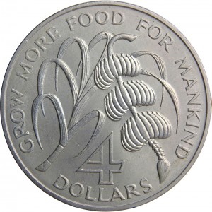 Coin photo