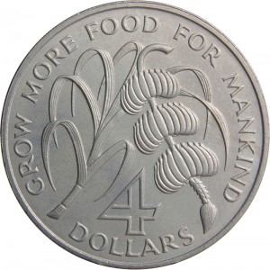 Coin photo