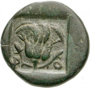 Coin photo