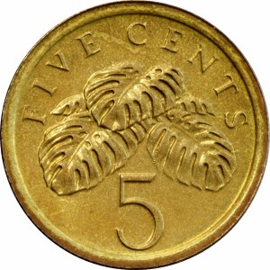 Coin photo