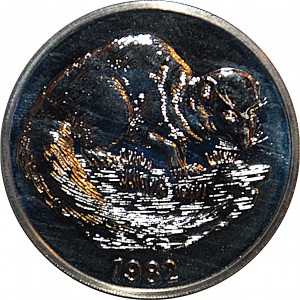 Coin photo