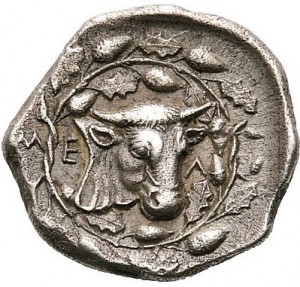Coin photo