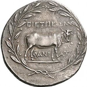 Coin photo