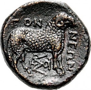 Coin photo