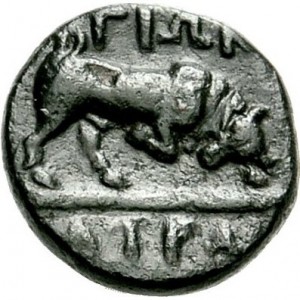 Coin photo