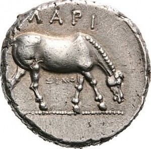 Coin photo
