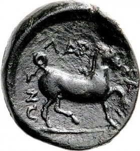 Coin photo