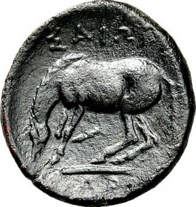 Coin photo
