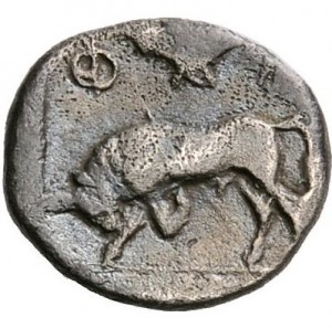 Coin photo
