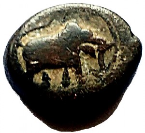 Coin photo
