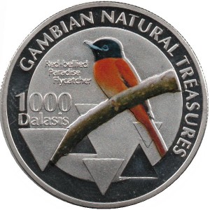 Coin photo