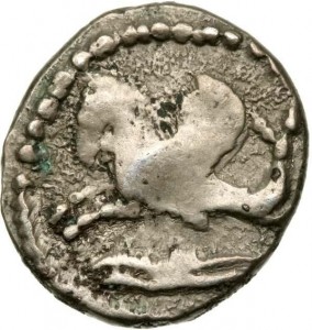 Coin photo