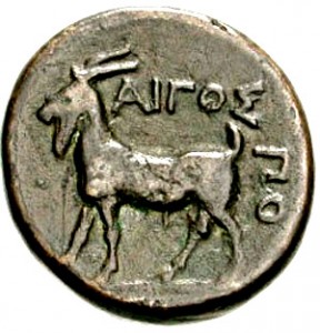 Coin photo