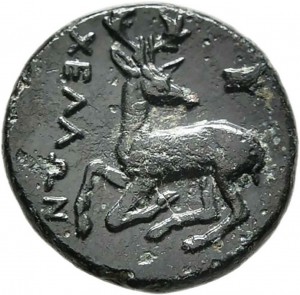 Coin photo