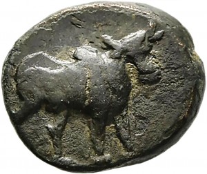 Coin photo