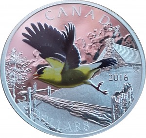 Coin photo