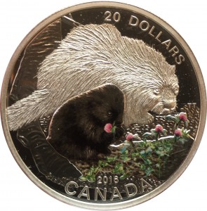 Coin photo