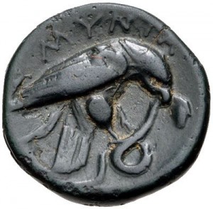 Coin photo