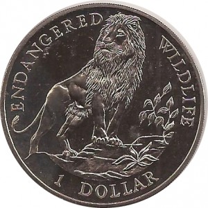 Coin photo