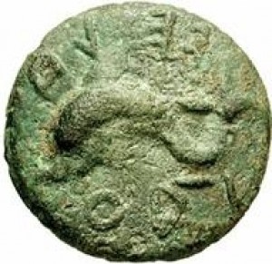 Coin photo