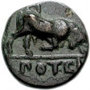 Coin photo