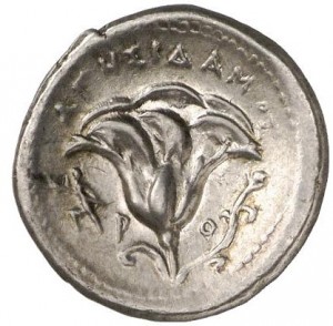 Coin photo
