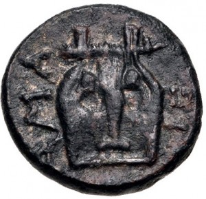 Coin photo