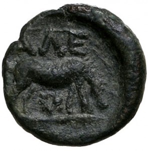 Coin photo