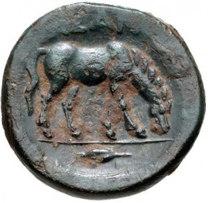 Coin photo