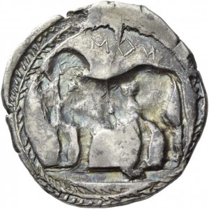 Coin photo