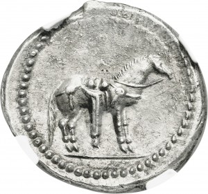 Reverse