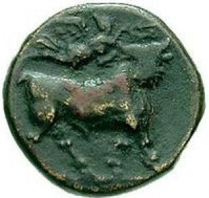 Coin photo