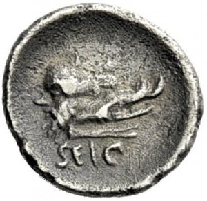 Coin photo
