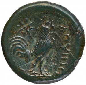 Reverse