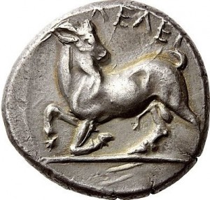 Coin photo