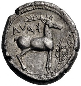 Coin photo