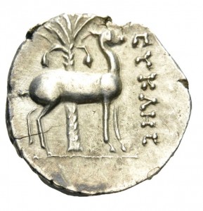 Coin photo