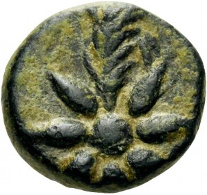 Coin photo