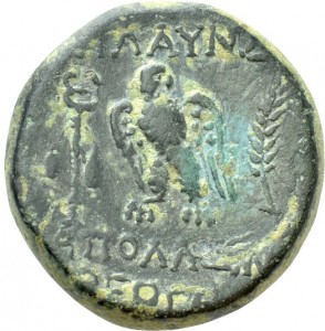 Coin photo