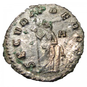 Coin photo