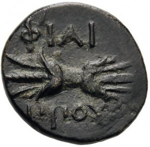 Coin photo