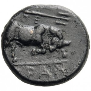 Coin photo